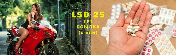 PSILOCYBIN Наволоки