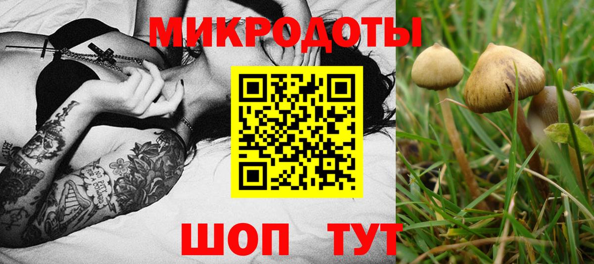 Карачаевск  Псилоцибиновые грибы GOLDEN TEACHER  Галлюциногенные грибы прущие грибы  Вход с VPN 
