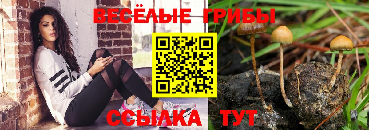 Галлюциногенные грибы ЛСД Карачаевск