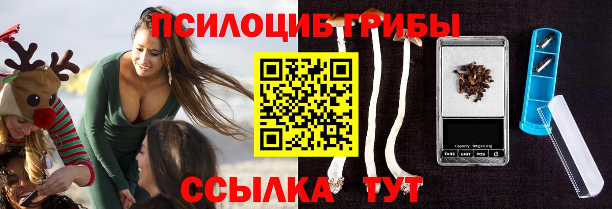 Псилоцибиновые грибы мухоморы Карачаевск