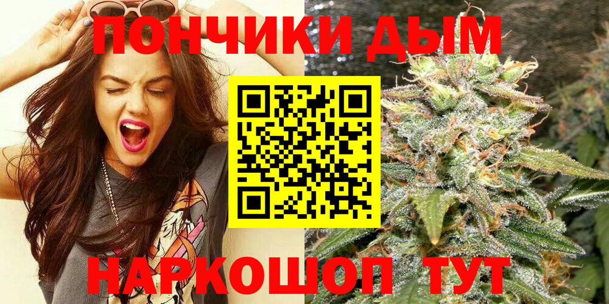 Карачаевск  Бошки Шишки тримм  Вход с VPN  Марихуана марихуана  Бошки Шишки Amnesia 